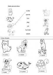 English Worksheet: Pets