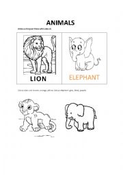 English Worksheet: Wild Animals