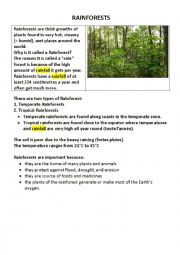 English Worksheet: Tropical rainforests