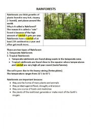 English Worksheet: Tropical rainforests