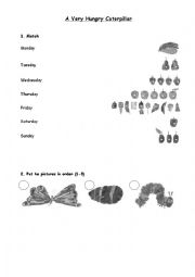 English Worksheet: A Very Hungry Caterpillar