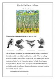 English Worksheet: How the Kiwi Saved the Forest
