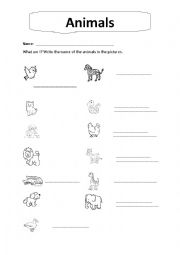 English Worksheet: What animal is it?