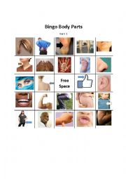 English Worksheet: Body Parts Bingo