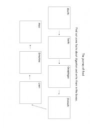 English Worksheet: The journey of food