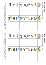 English Worksheet: Pets and their homes