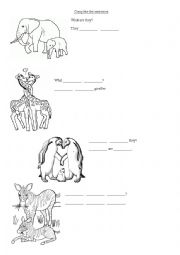 English Worksheet: They are wild animals