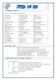 English Worksheet: Animals and pets 