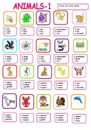 English Worksheet: Animal multiple choice