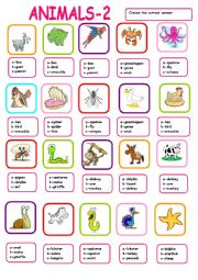 English Worksheet: Animal multiple choice2