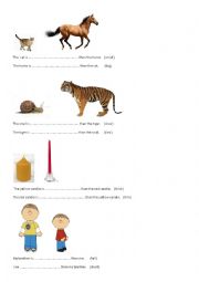 Comparative and Superlative Adjectives (regular)