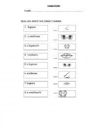 English Worksheet: Parts of the face