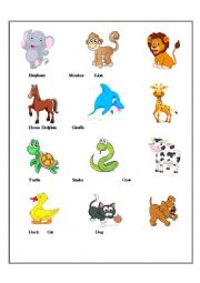 English Worksheet: Animal Vocabulary