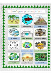English Worksheet: Environment Vocabulary