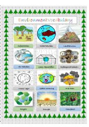 Environment Vocabulary