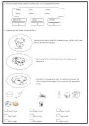 English Worksheet: Food