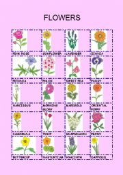 English Worksheet: FLOWERS
