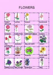 English Worksheet: FLOWERS 2