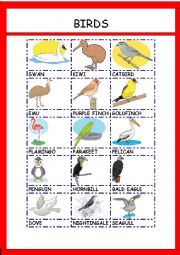 English Worksheet: BIRDS 2