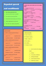 English Worksheet: Reported Speech and Conditionals (all types)