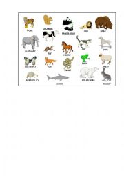 animals