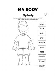 English Worksheet: Parts of the body