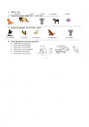 English Worksheet: Animals