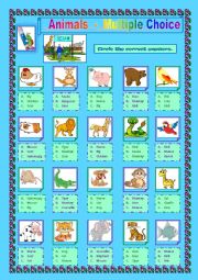 English Worksheet: Animals  -  Multiple Choice