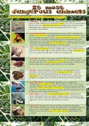 English Worksheet: 25 of the Most Dangerous Animals In The World