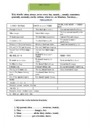 English Worksheet: grammer simple present