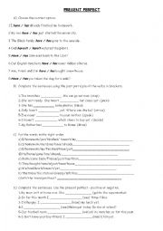 English Worksheet: Present Perfect Test