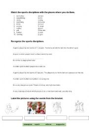 English Worksheet: Sport - exercises