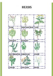 English Worksheet: HERBS