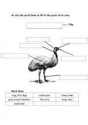 English Worksheet: Animal description (emu)