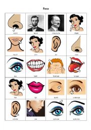 English Worksheet: Parts of the Face