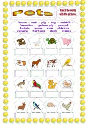 English Worksheet: Pets