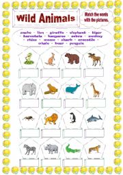 English Worksheet: Wild animals