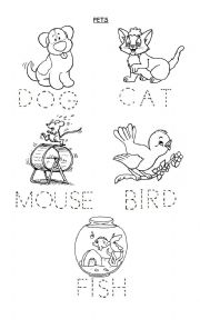 English Worksheet: Pets worksheet