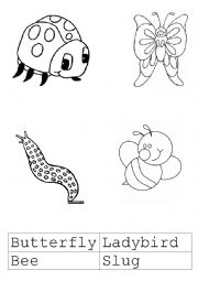 English Worksheet: The Garden