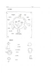 English Worksheet: Body parts, clothes, weather