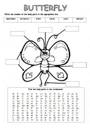English Worksheet: BUTTERFLY PARTS
