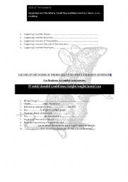 English Worksheet: Pied piper