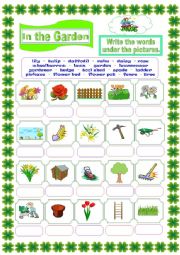 English Worksheet: In the Garden