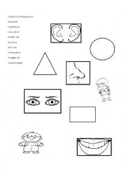 English Worksheet: Parts of the face and shapes