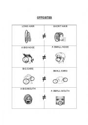 English Worksheet: OPPOSITES