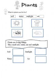 English Worksheet: What do plants need to live? Plants 3