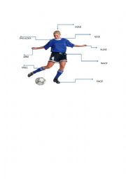English Worksheet: PARTS OF BODY
