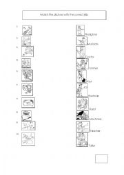 Match pictures with correct job 