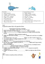 English Worksheet: Linkers of comparison and contrast