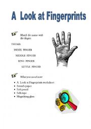 English Worksheet: A Look at Fingerprints